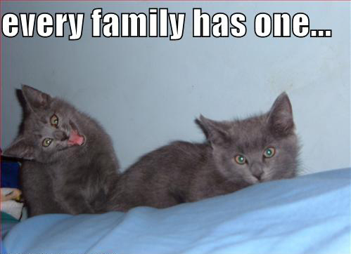 every family has one - every family has one...