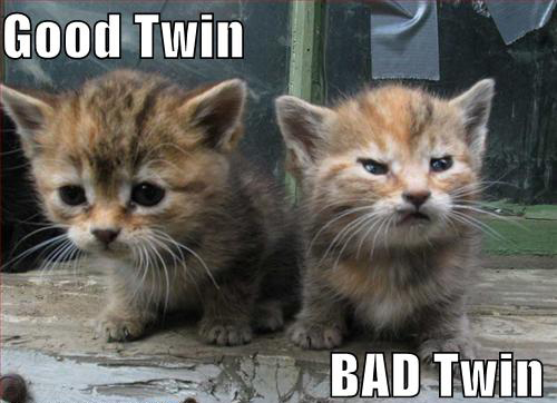 good cat bad cat - Good Twin Bad Twin