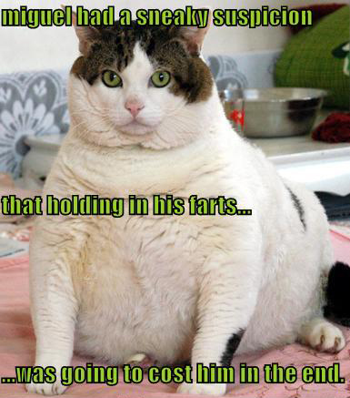 fat cat - miguel had a sneaky suspicion that holding in his farts. ...was going to cost him in the end.