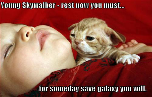 yoda funny - Young Skywalker rest now you must... for someday save galaxy you will