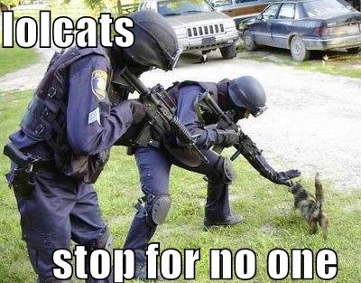LOL Cats #34