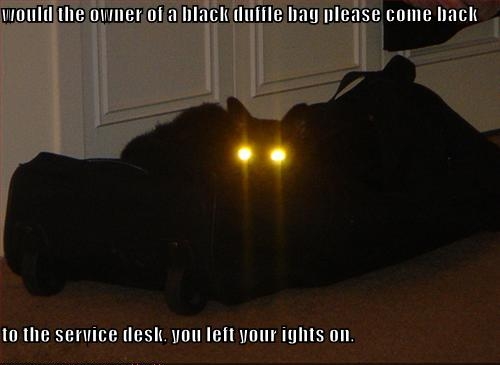 light - would the owner of a black duffle bag please come back to the service desk. you left your ights on,
