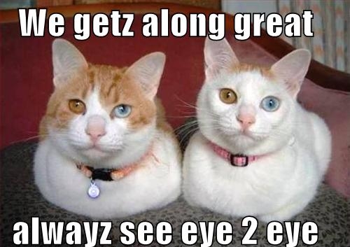 artemis fowl memes - We getz along great alwayz see eye 2 eye