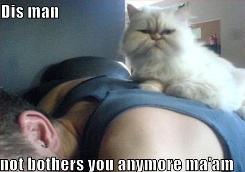 man with cat - Dis man not bothers you anymore ma'am