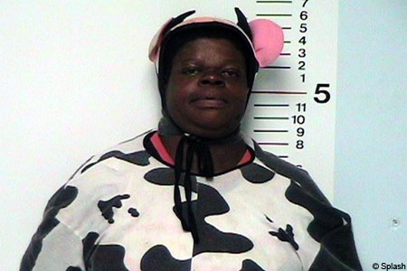 Is this the most ridiculous mugshot ever?  This women got hammered while wearing a cow costume and preceded to terrorize some local kids!