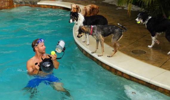 Underwater Doggies