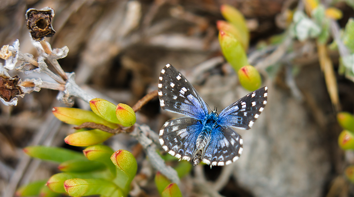 High Dynamic Range Photography