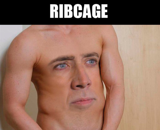 Nicolas Cage And Nicolas Cage - Directed By Nick Cage