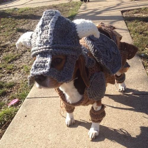 skyrim dog costume