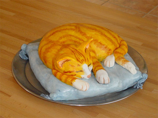 cat cake design