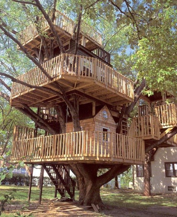 31 Tree Houses That Make The Canopy Comfy