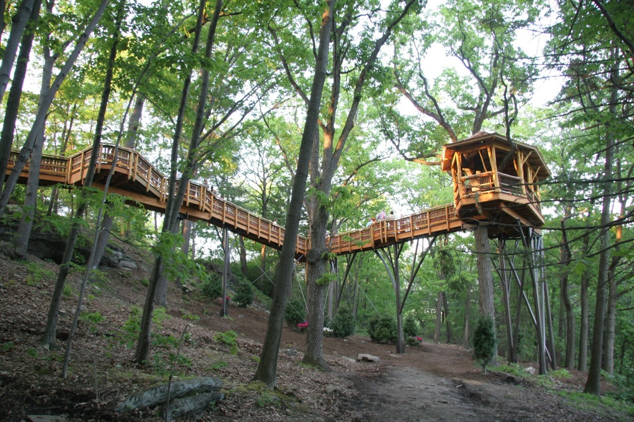 31 Tree Houses That Make The Canopy Comfy