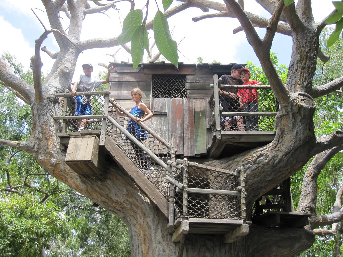 31 Tree Houses That Make The Canopy Comfy