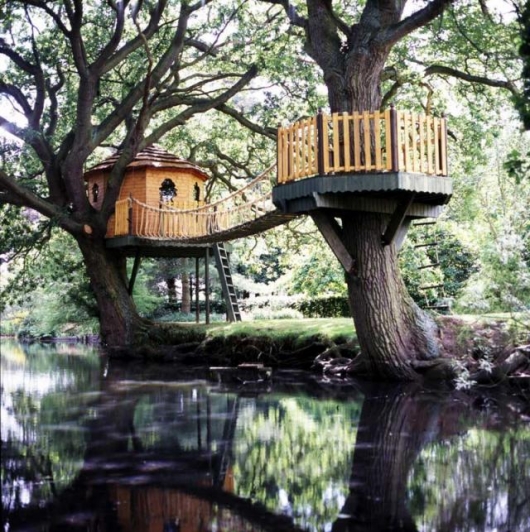 31 Tree Houses That Make The Canopy Comfy