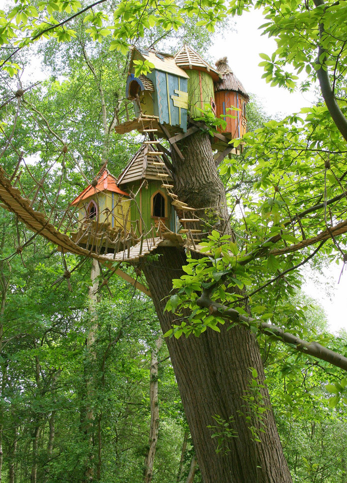 31 Tree Houses That Make The Canopy Comfy