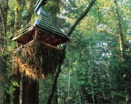 31 Tree Houses That Make The Canopy Comfy