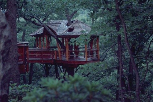 31 Tree Houses That Make The Canopy Comfy