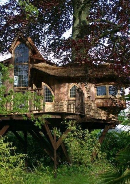 31 Tree Houses That Make The Canopy Comfy