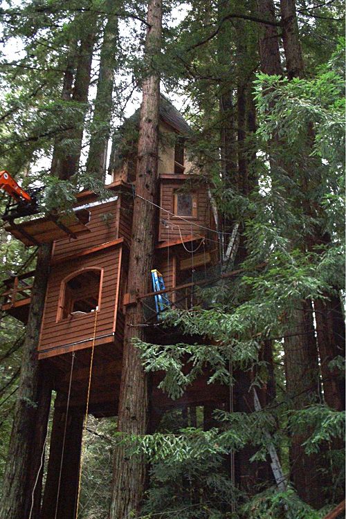 31 Tree Houses That Make The Canopy Comfy