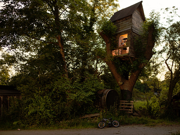 31 Tree Houses That Make The Canopy Comfy