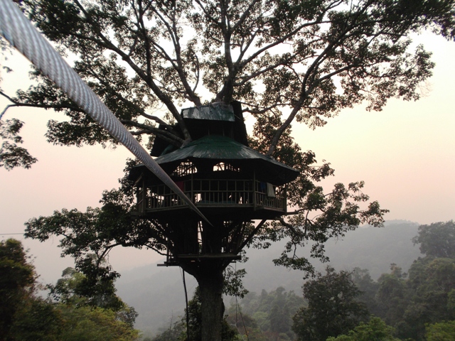 31 Tree Houses That Make The Canopy Comfy