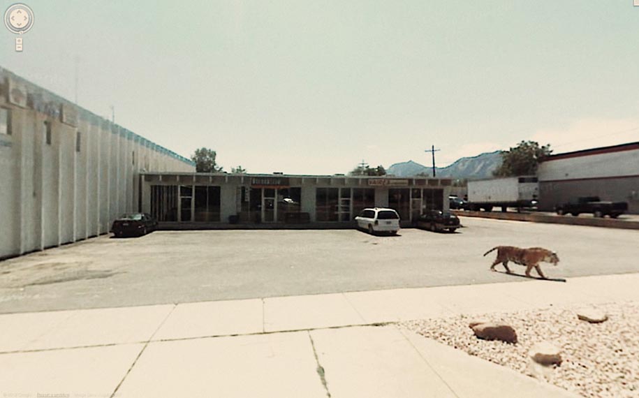 More Weirdness On Google Street View