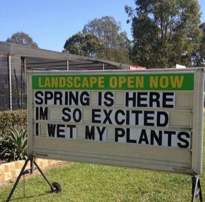 spring is here funny - Landscape Open Now Spring Is Here Im So Excited Lwet My Plants