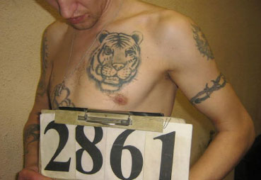 A tiger tattoo typically signifies that the bearer has killed a policeman or a prison guard.