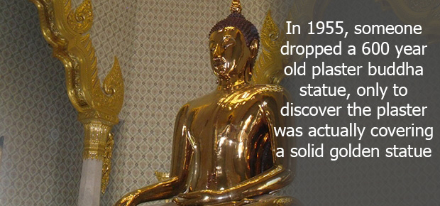 21 Completely Surprising Facts