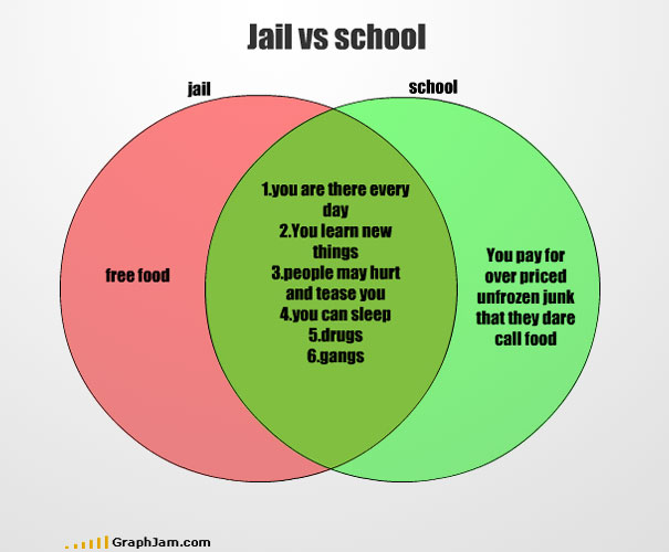 18 Totally Accurate Pie Charts About School