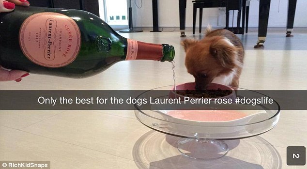 rich kids on snapchat - LaurentPerrier Only the best for the dogs Laurent Perrier rose RichkidSnaps