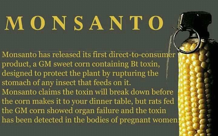 Monsanto needs no introduction, but we’ll do it quickly anyway: They’re a pesticide manufacturer known for being the first company to genetically modify a seed to be resistant to pesticides and herbicides. Their seeds are billed as “Roundup-Ready,” meaning that it’s the only thing that will stay alive in a field that’s been sprayed with Roundup, Monsanto’s main herbicide product. In 2002, Monsanto was convicted of dumping tens of thousands of pounds of PCBs into the waterways of Anniston, Alabama, before lying about it for years. This led to the highest concentrations of the toxic pollutant ever recorded in history. Monsanto’s view on the situation was, “We can’t afford to lose a dollar of profit” (that’s a real quote).