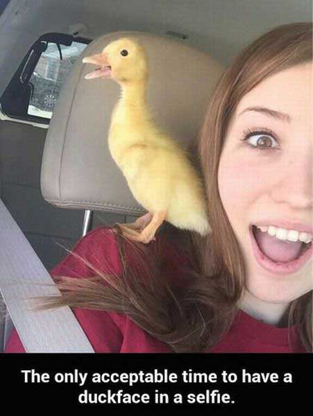 duck love meme - The only acceptable time to have a duckface in a selfie.