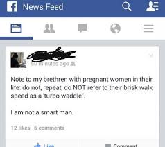funny facebook status memes - f News Feed S inutes ago Note to my brethren with pregnant women in their life do not, repeat, do Not refer to their brisk walk speed as a 'turbo waddle" I am not a smart man 12 kes 6