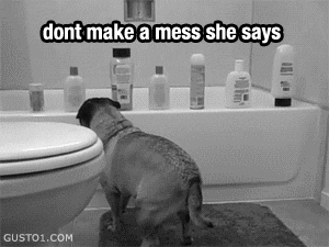 gifs that make you laugh - dont make a mess she says GUSTO1.Com