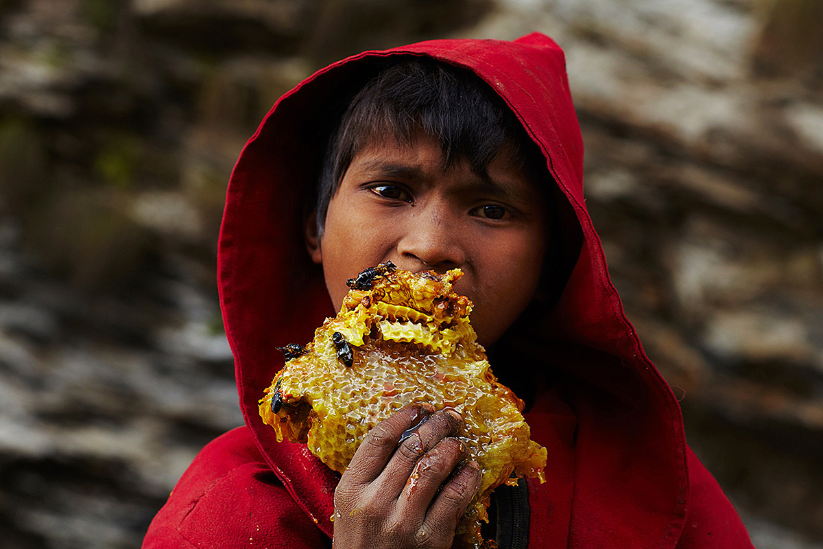 A young boy from the nearby village feasts on a piece of freshly cut honeycomb that has fallen to the ground.
