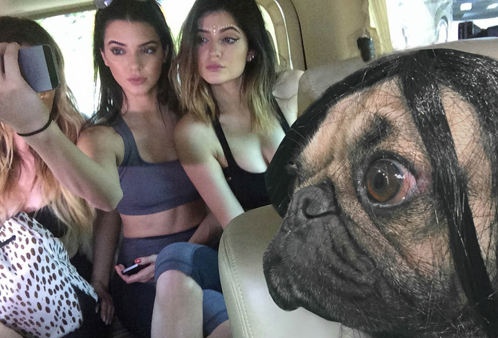 Pug Reenacts Sexy Kim Kardashian Selfies