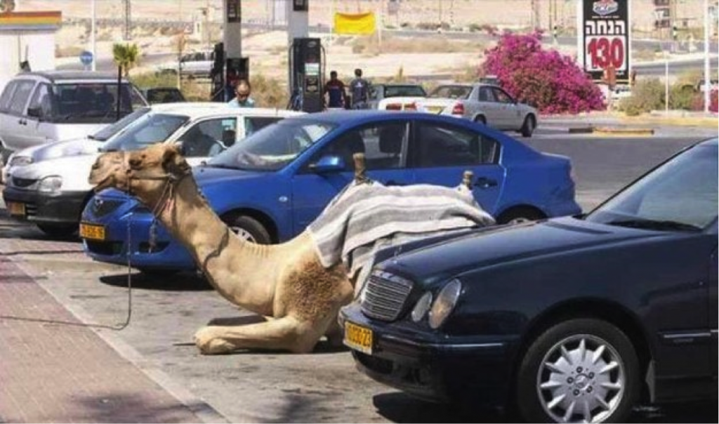 things you only see in dubai -