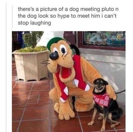 dog meets pluto - there's a picture of a dog meeting pluto n the dog look so hype to meet him i can't stop laughing