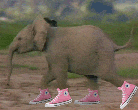running elephant gif