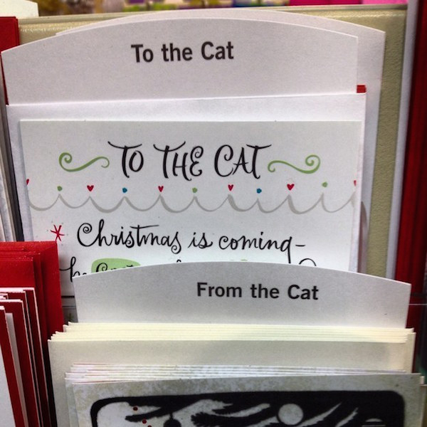 fail material - To the Cat To The Cat Christmas is coming From the Cat