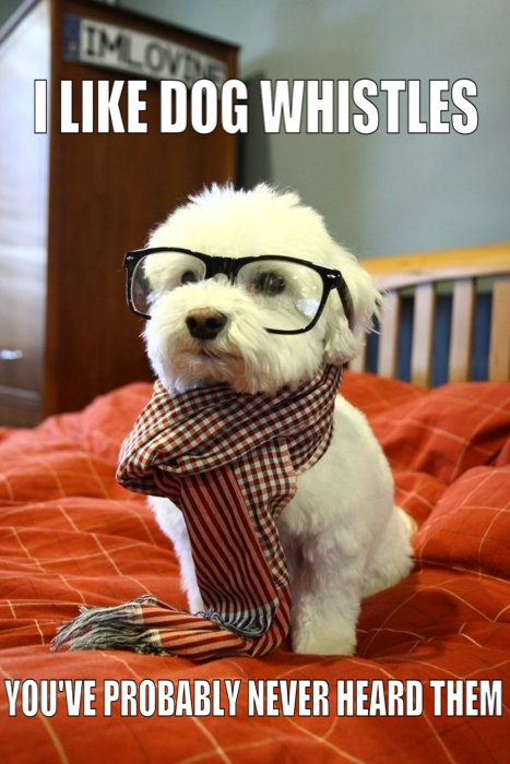 random pic hipster dog - Dog Whistles You'Ve Probably Never Heard Them