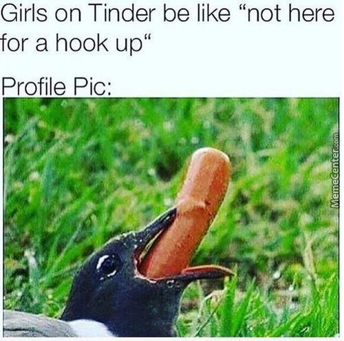 girls on tinder be like not here - Girls on Tinder be not here for a hook up" Profile Pic MemeCenter.com
