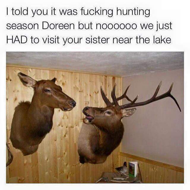 told you it was hunting season doreen - I told you it was fucking hunting season Doreen but noooooo we just Had to visit your sister near the lake