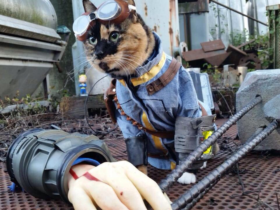 fallout 4 catmeat - an Intro