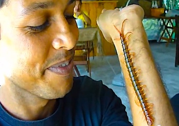 16 People Who Let Bugs Do Weird Things To Them