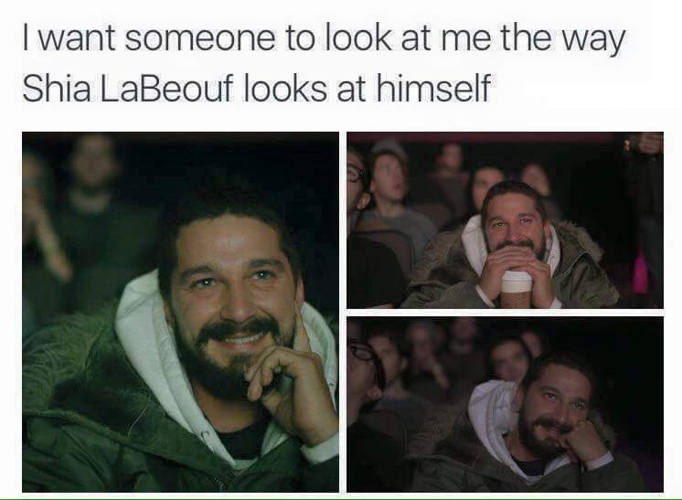 want someone to look at me like meme - I want someone to look at me the way Shia LaBeouf looks at himself