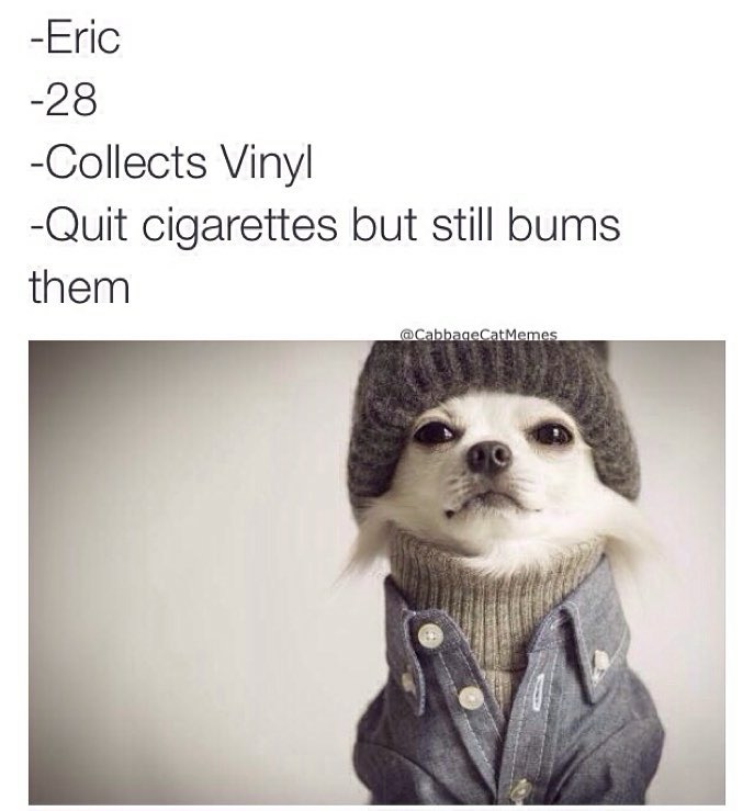 hipster dog meme - Eric 28 Collects Vinyl Quit cigarettes but still bums them Memes