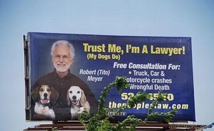 billboard - Trust Me, I'm A Lawyer! My Dogs Do Free Consultation For Robert Tito Truck, Car & Meyer otorcycle crashes Wrongful Death 524 there sples aw.com Piximus.Net