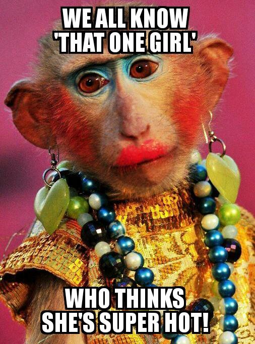 monkey with makeup - We All Know That One Girl Who Thinks She'S Super Hot!